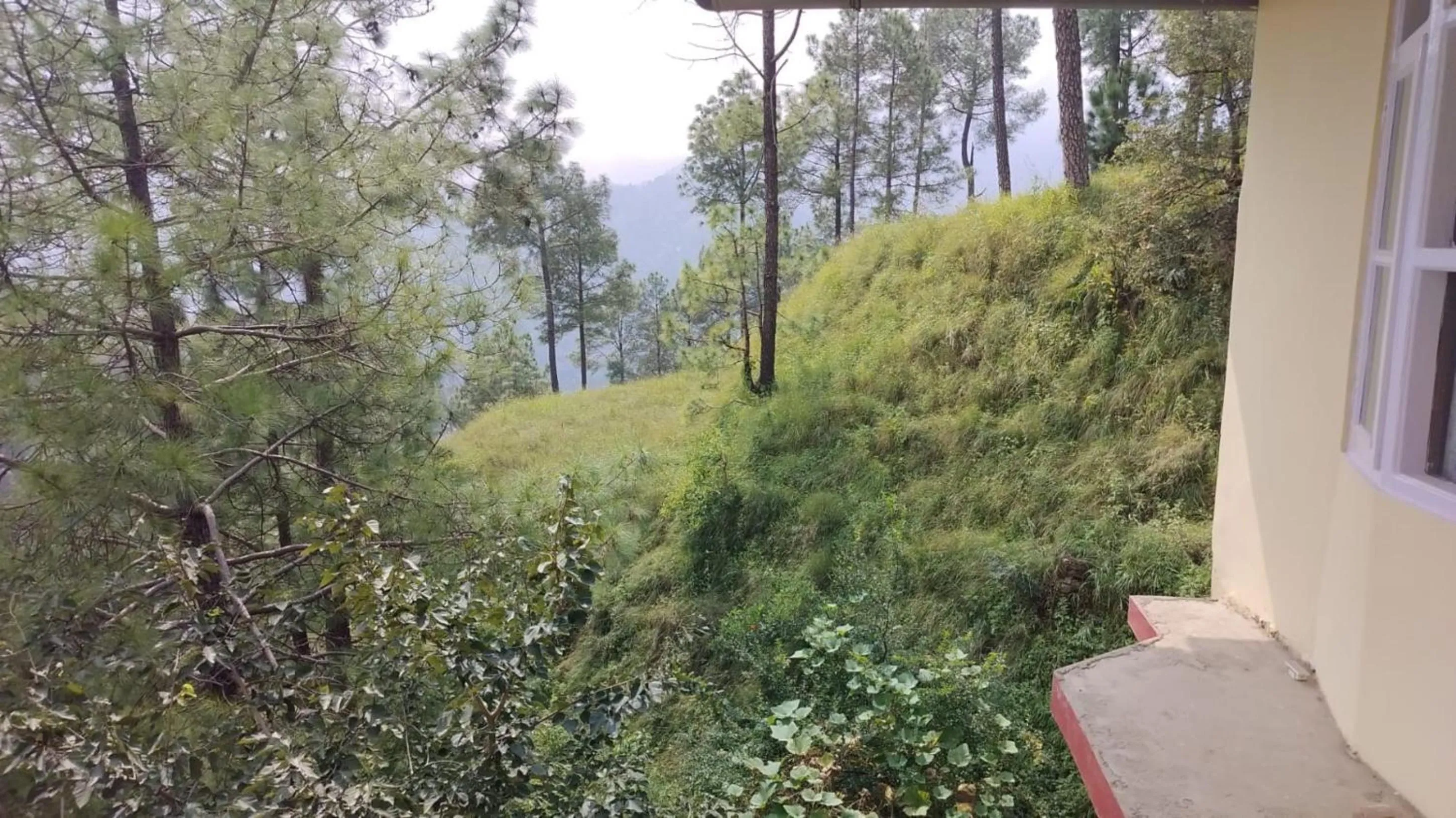 Day in Goroomgo Homestay Sukh Dham Shimla - Homestay Like Home Feeling Mountain View