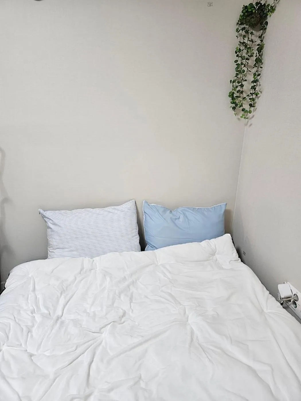 Bed in Daegu Business Star BnB