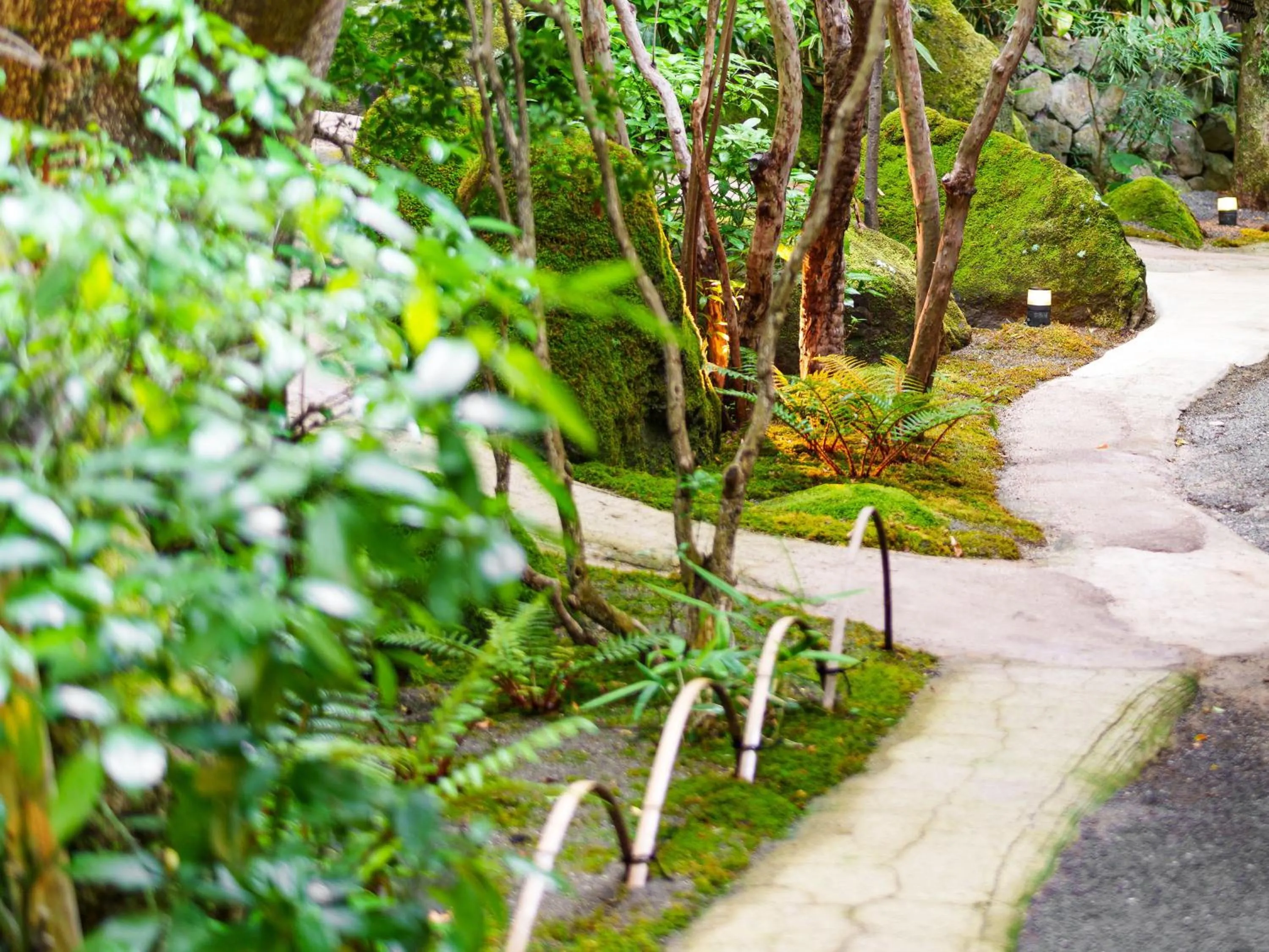 Area and facilities in Yufuin Rakuyu