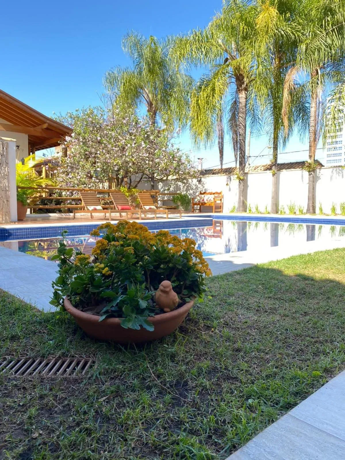 Swimming pool in Pousada Caraíba