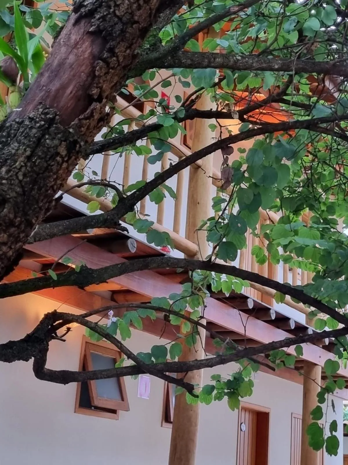 Garden in Pousada Caraíba