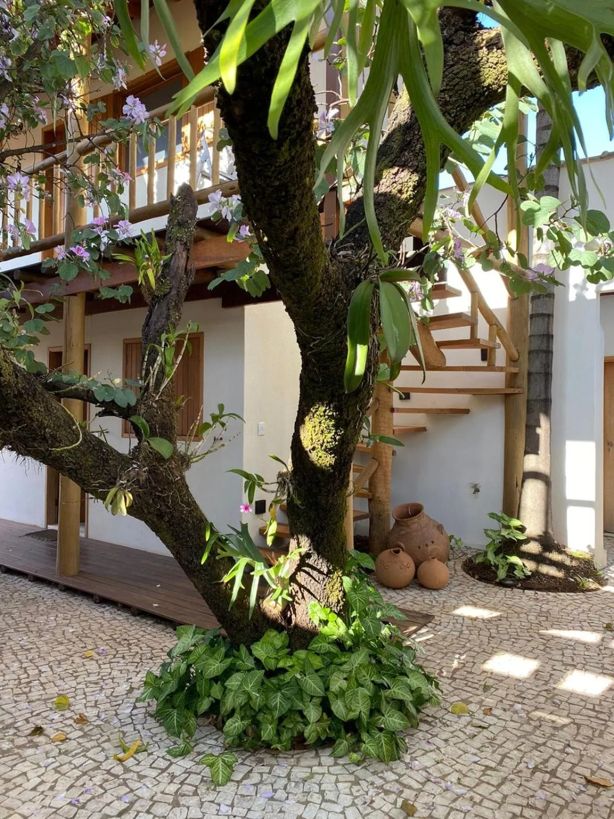 Garden in Pousada Caraíba