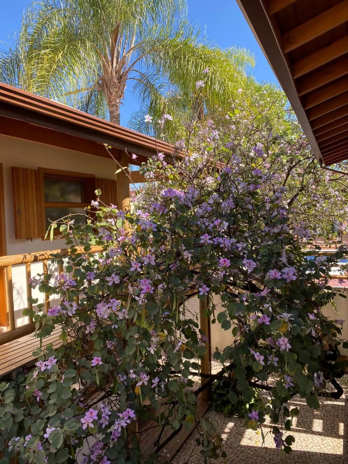 Garden in Pousada Caraíba