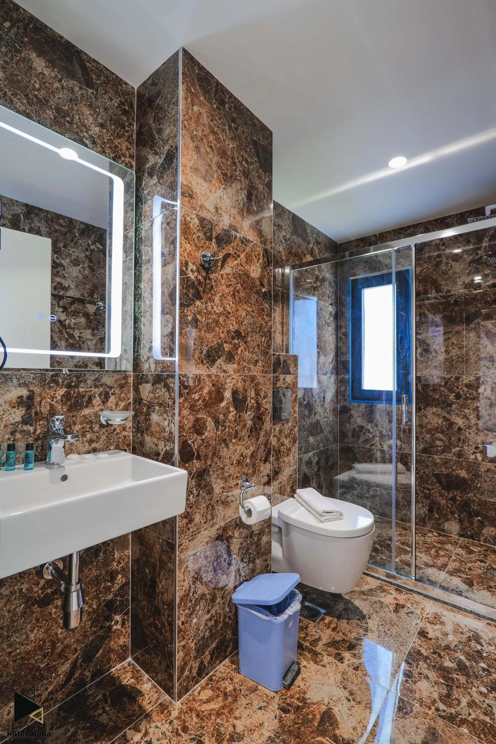 Bathroom in Hotel Alpha