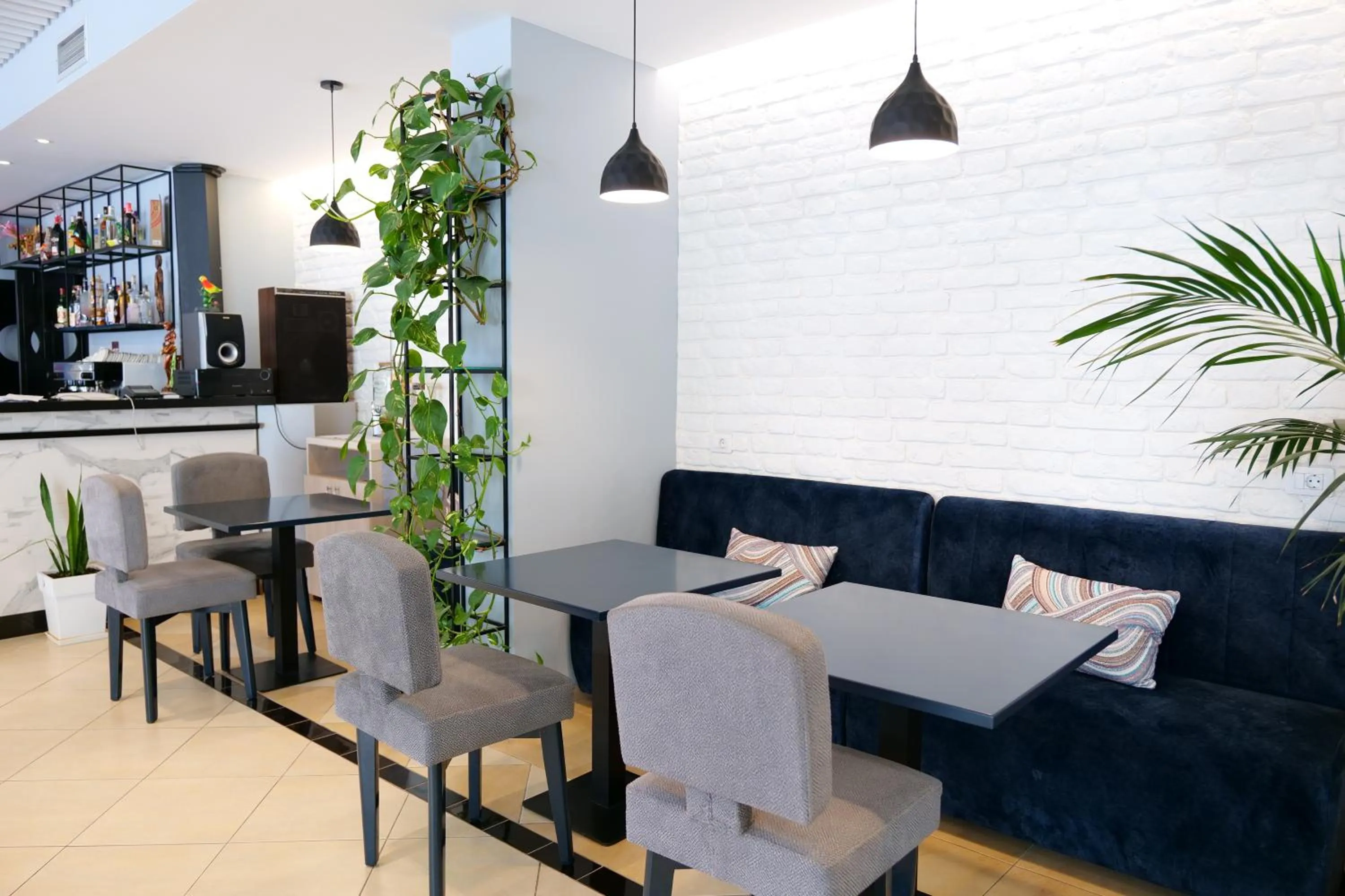 Lounge or bar in Hotel Alpha