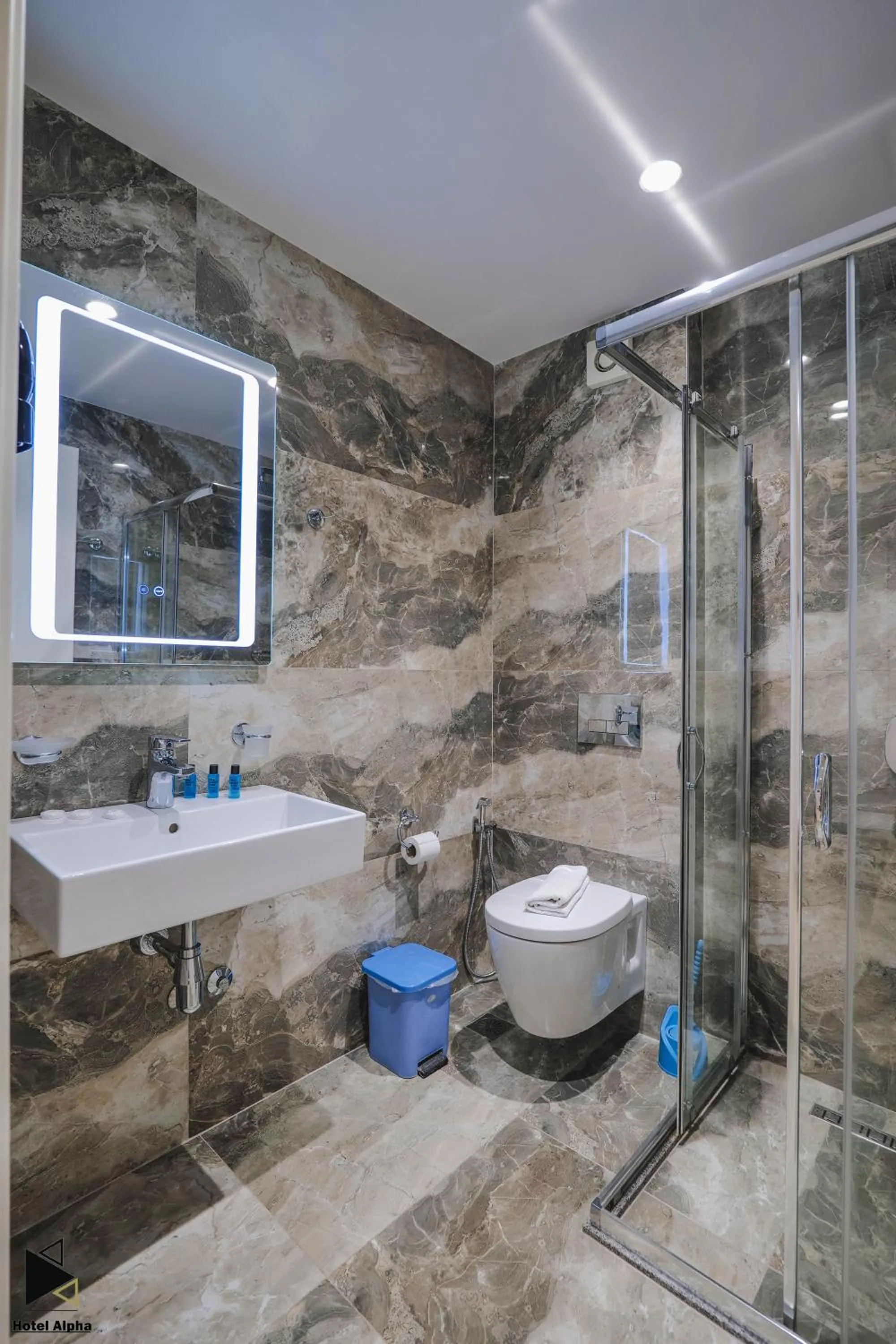 Bathroom in Hotel Alpha