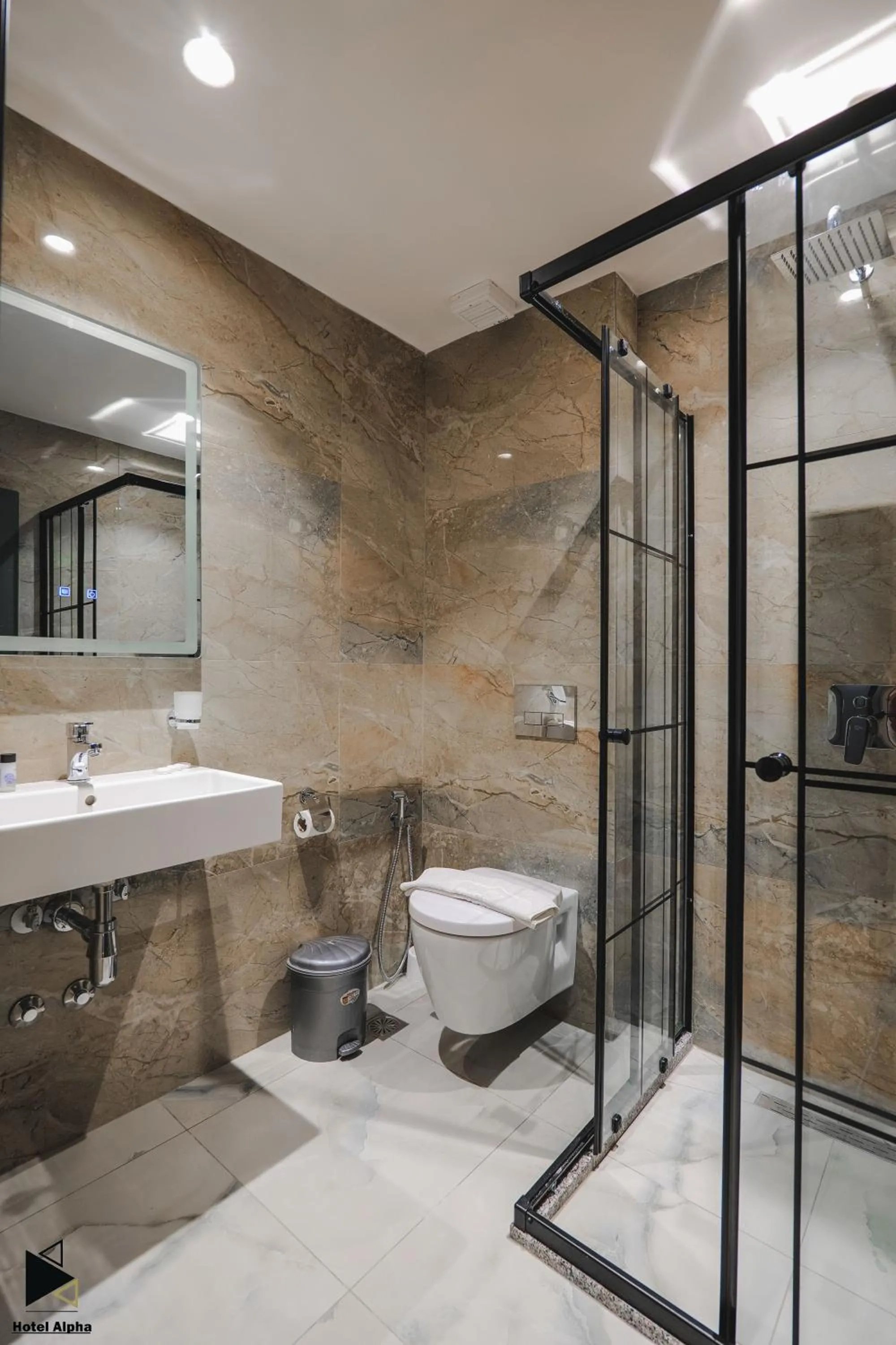 Bathroom in Hotel Alpha