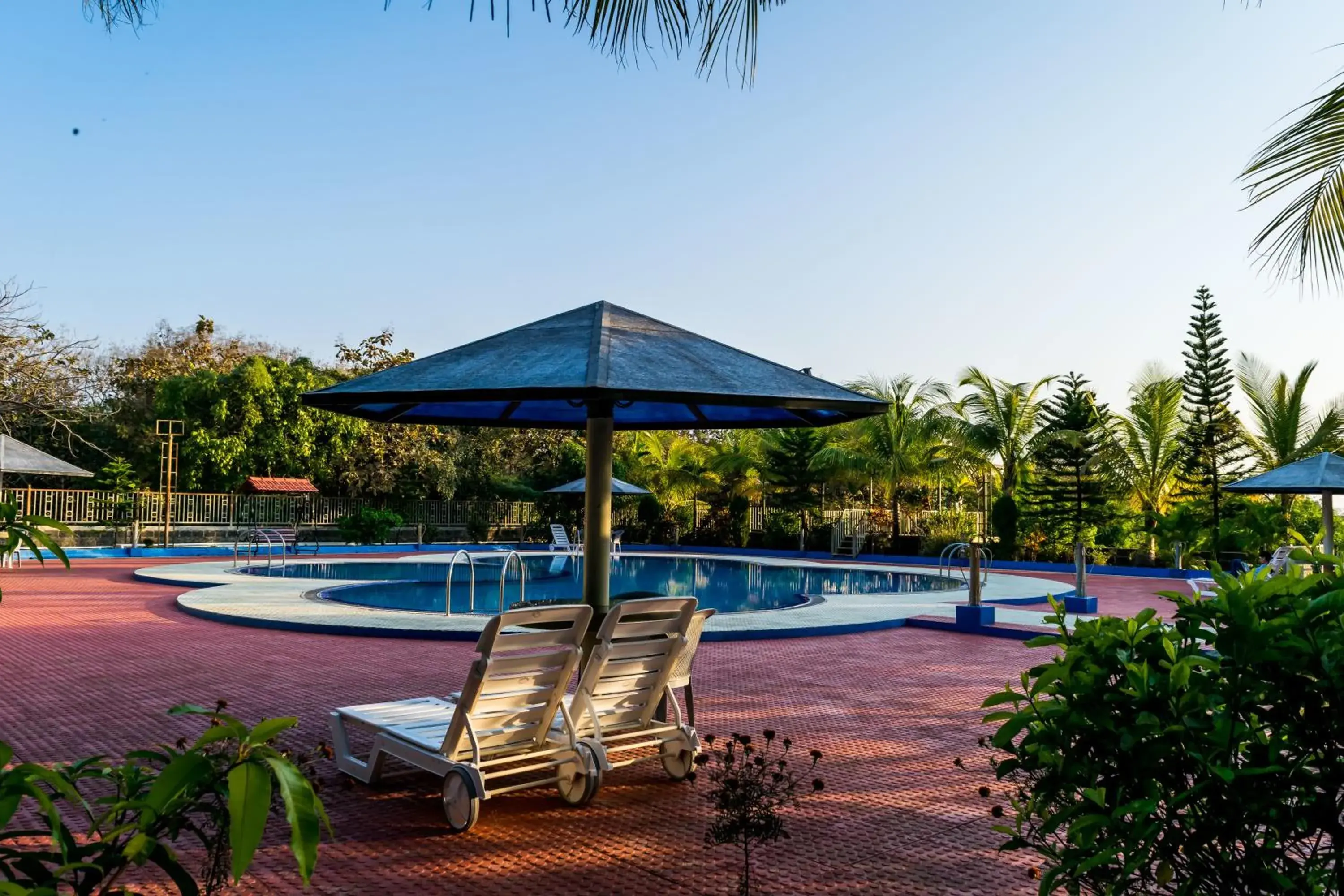 Swimming pool in Amidhara Resort Swimming pool in Amidhara Resort