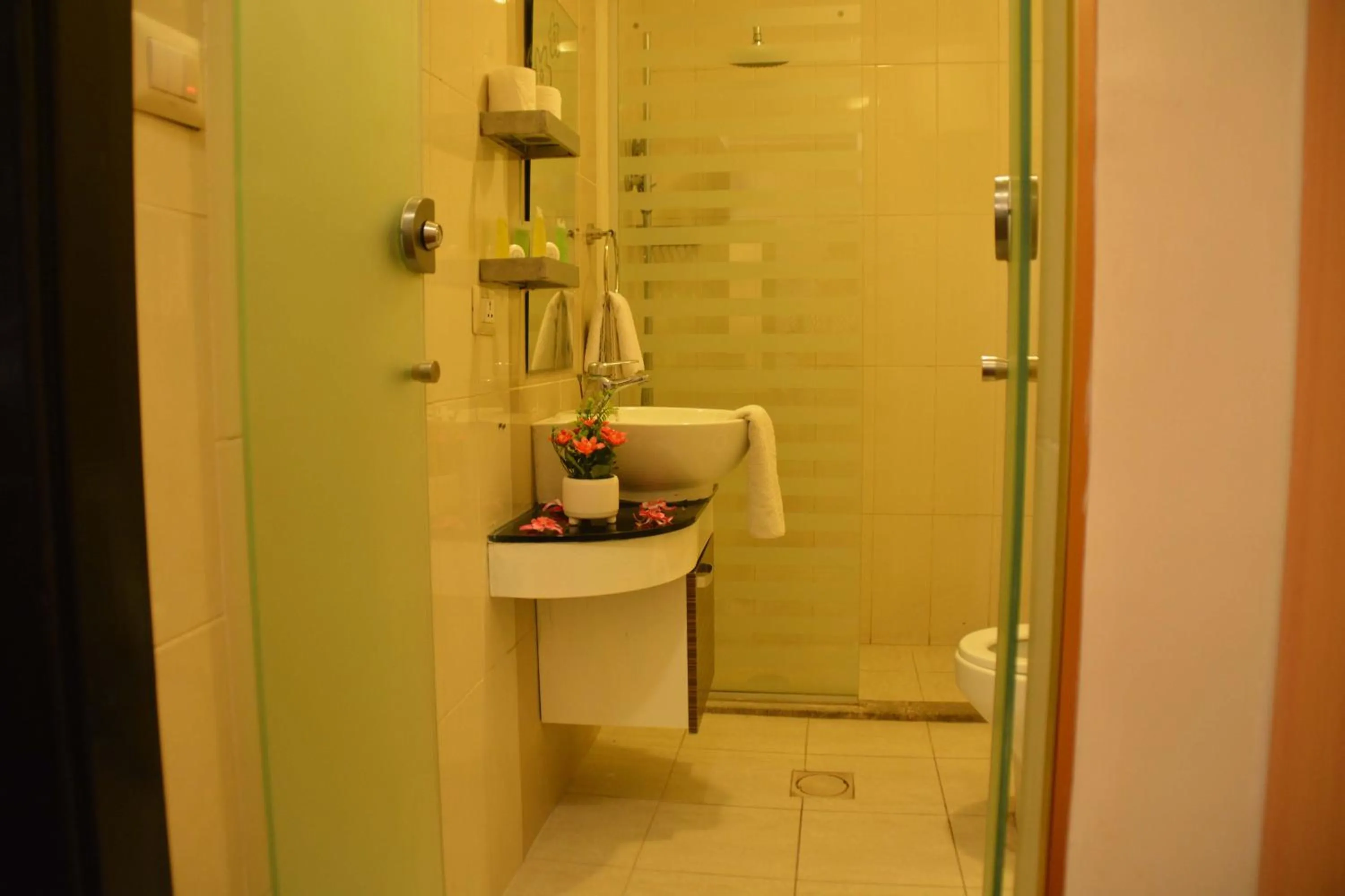 Shower in Sama Paris Plaza Hotel