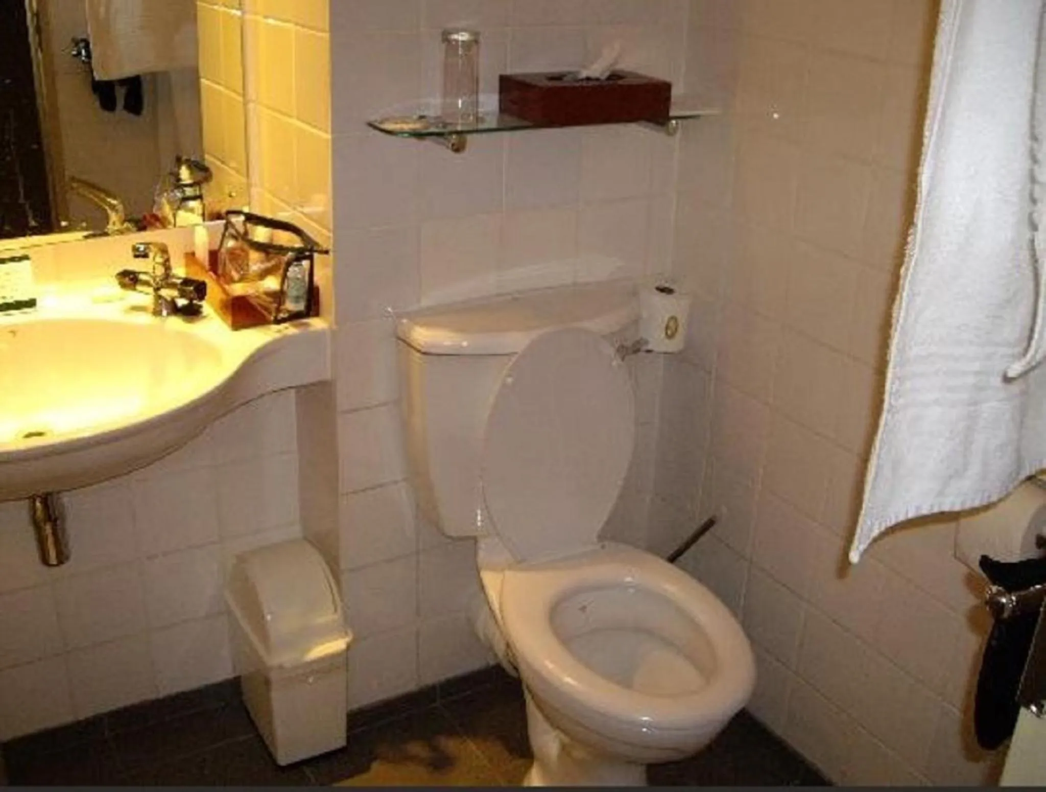 Toilet in Peermont Walmont at the Grand Palm, Gaborone