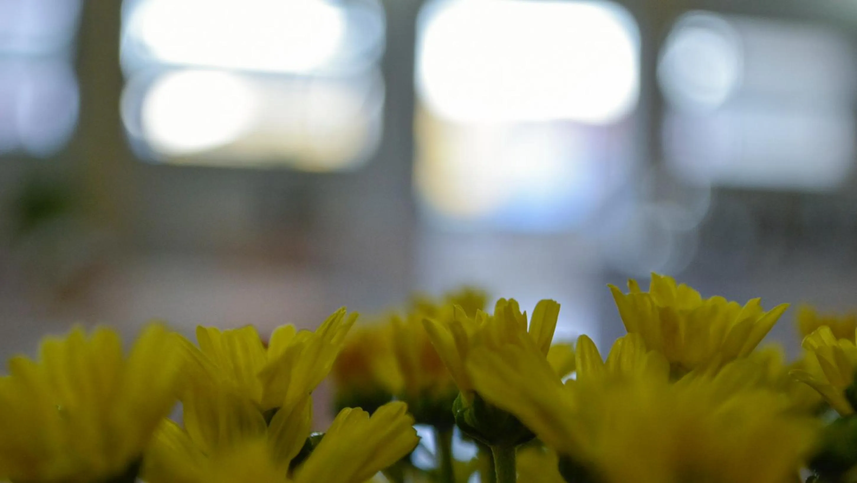 Hotel Real São Lourenço