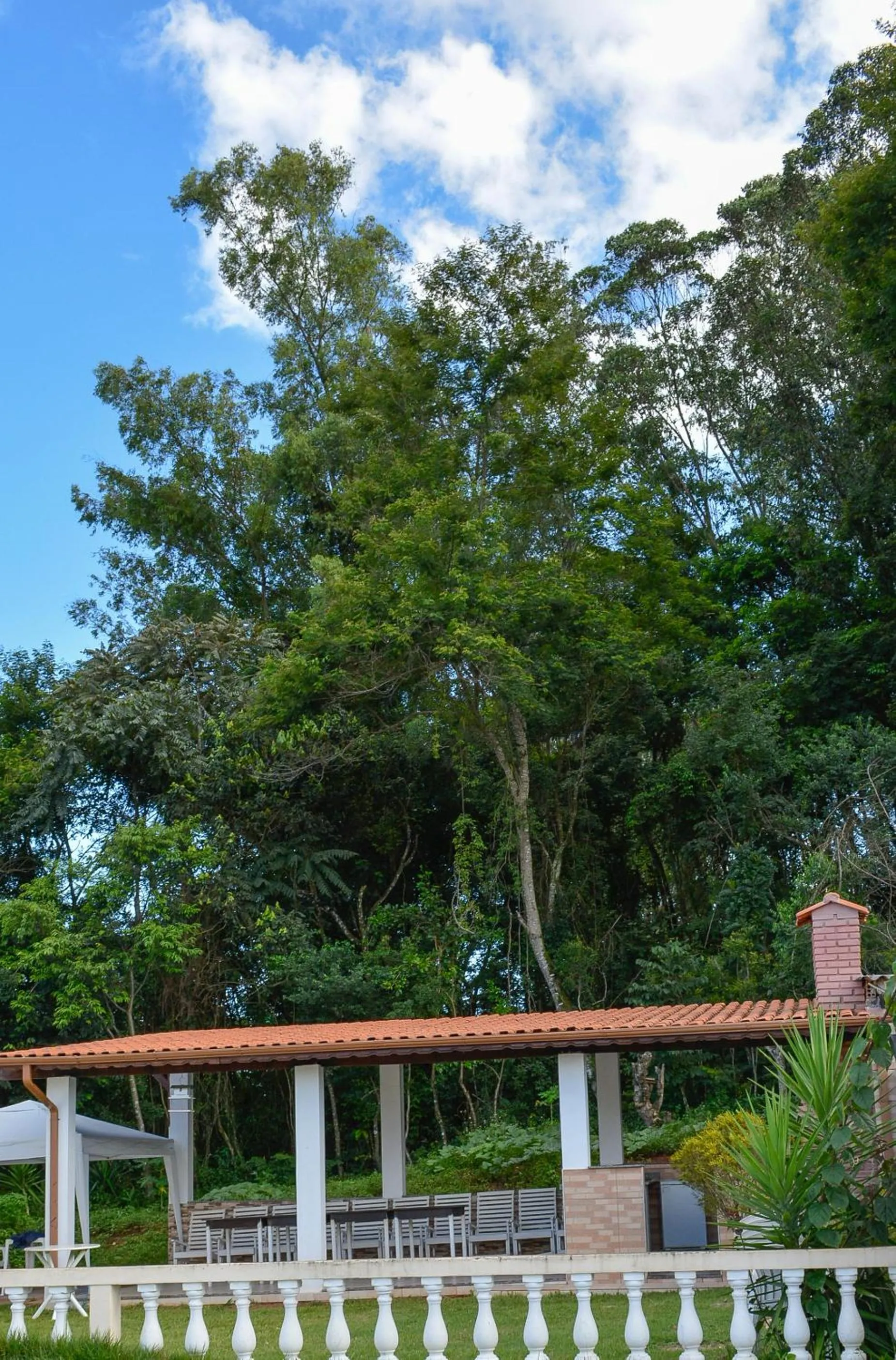 Hotel Real São Lourenço