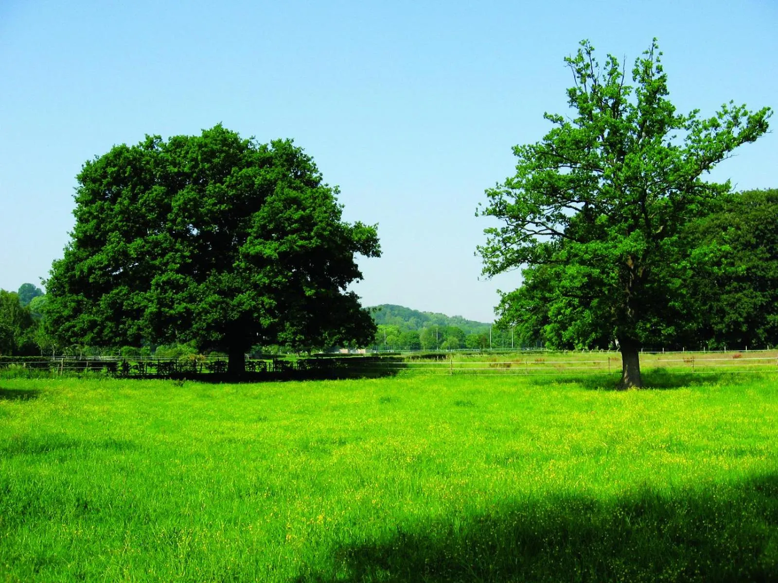 Natural landscape in Fletcher Hotel Restaurant De Geulvallei