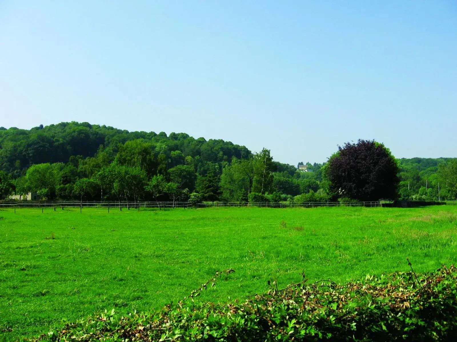 Natural landscape in Fletcher Hotel Restaurant De Geulvallei Natural landscape in Fletcher Hotel Restaurant De Geulvallei