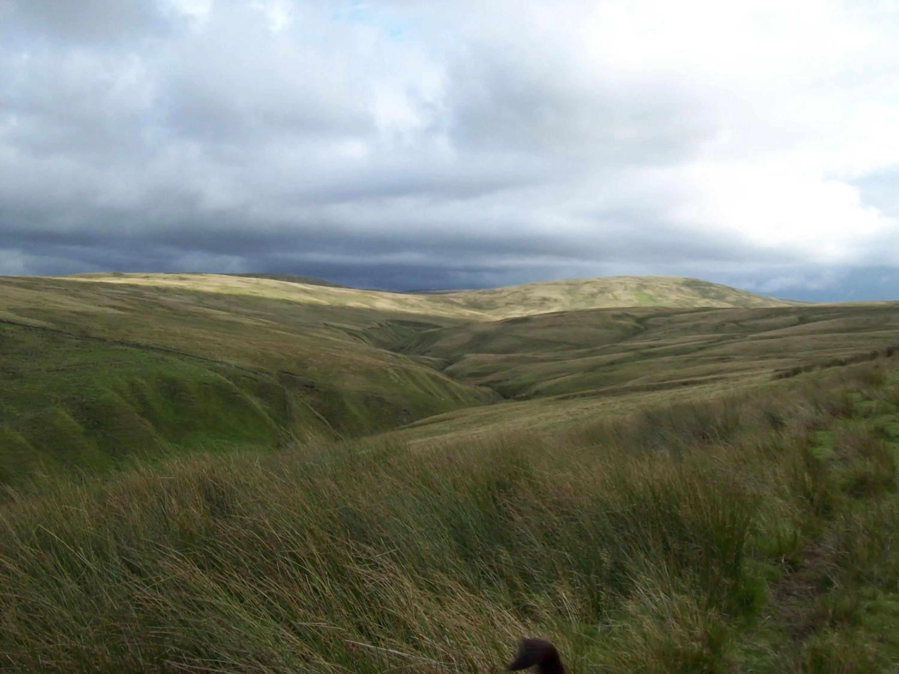Natural landscape in The Old School B&B