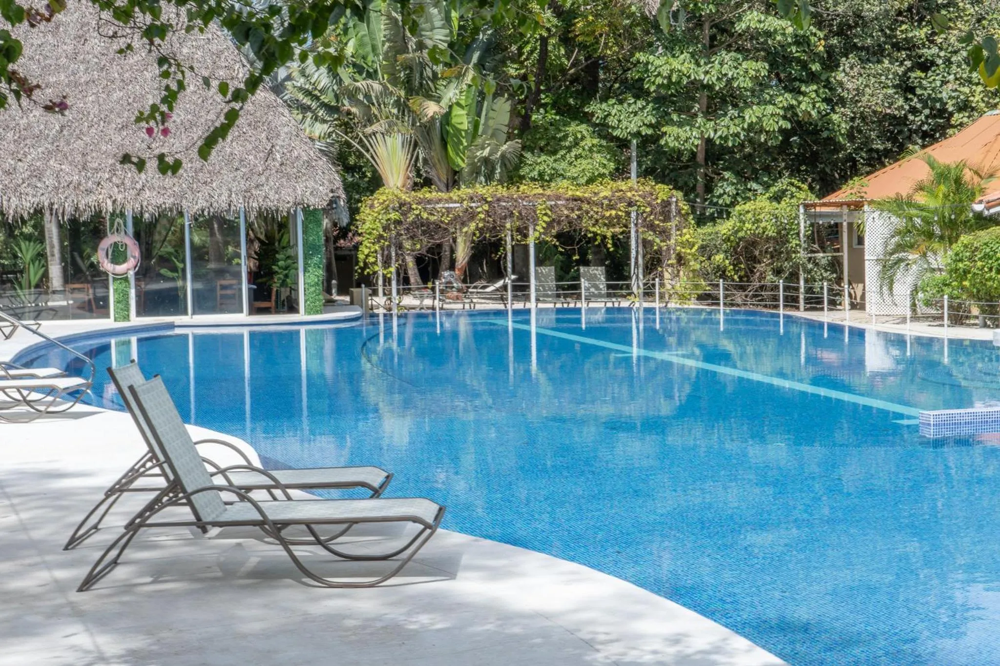 Pool view in Seis Playas Hotel