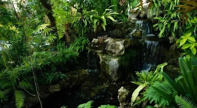 The Secret Garden Maesot