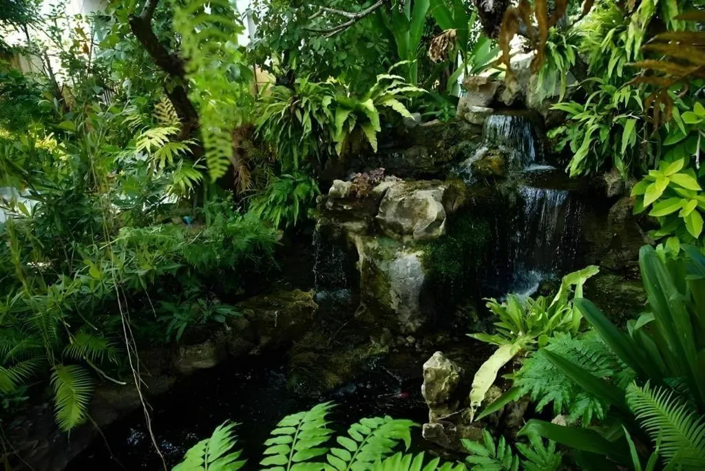 The Secret Garden Maesot