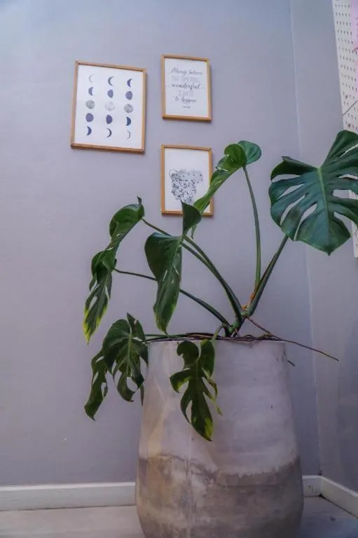 BM PATTANI APARTMENT