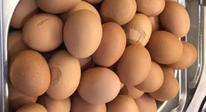 GreenTree Inn Express Dongying Municipal Governemnt Wanda Plaza GreenTree Inn Express Dongying Municipal Governemnt Wanda Plaza