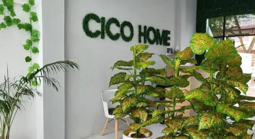 Cico Home Cico Home