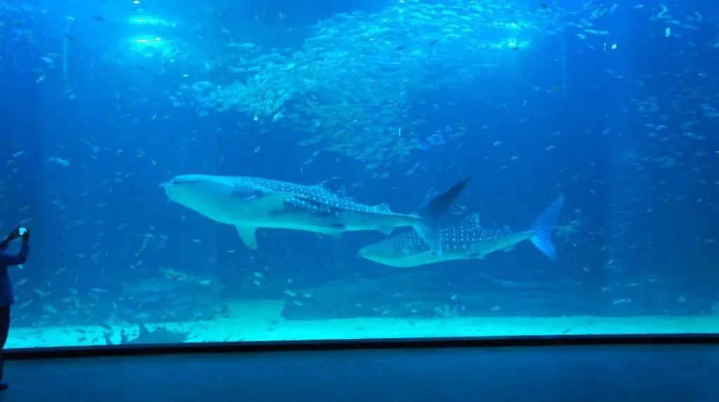 Steigenberger Hotel SUNAC Nanchang