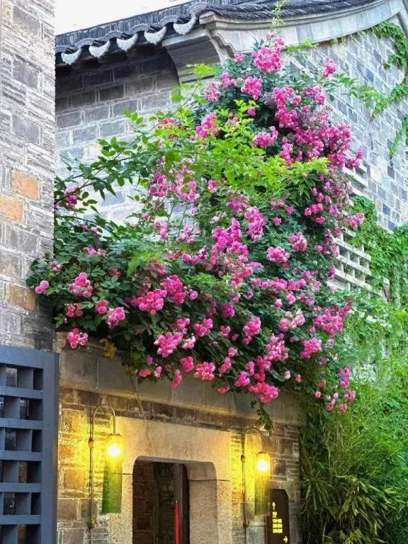 Blossom House Nanjing Laomendong Zhuque Lane Blossom House Nanjing Laomendong Zhuque Lane