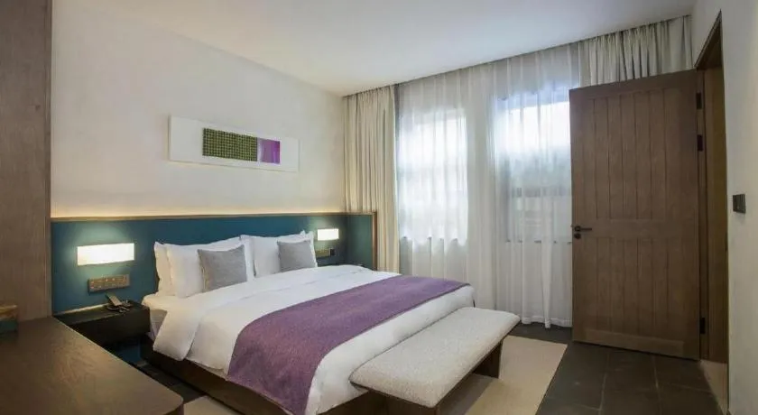 Blossom House Nanjing Laomendong Zhuque Lane