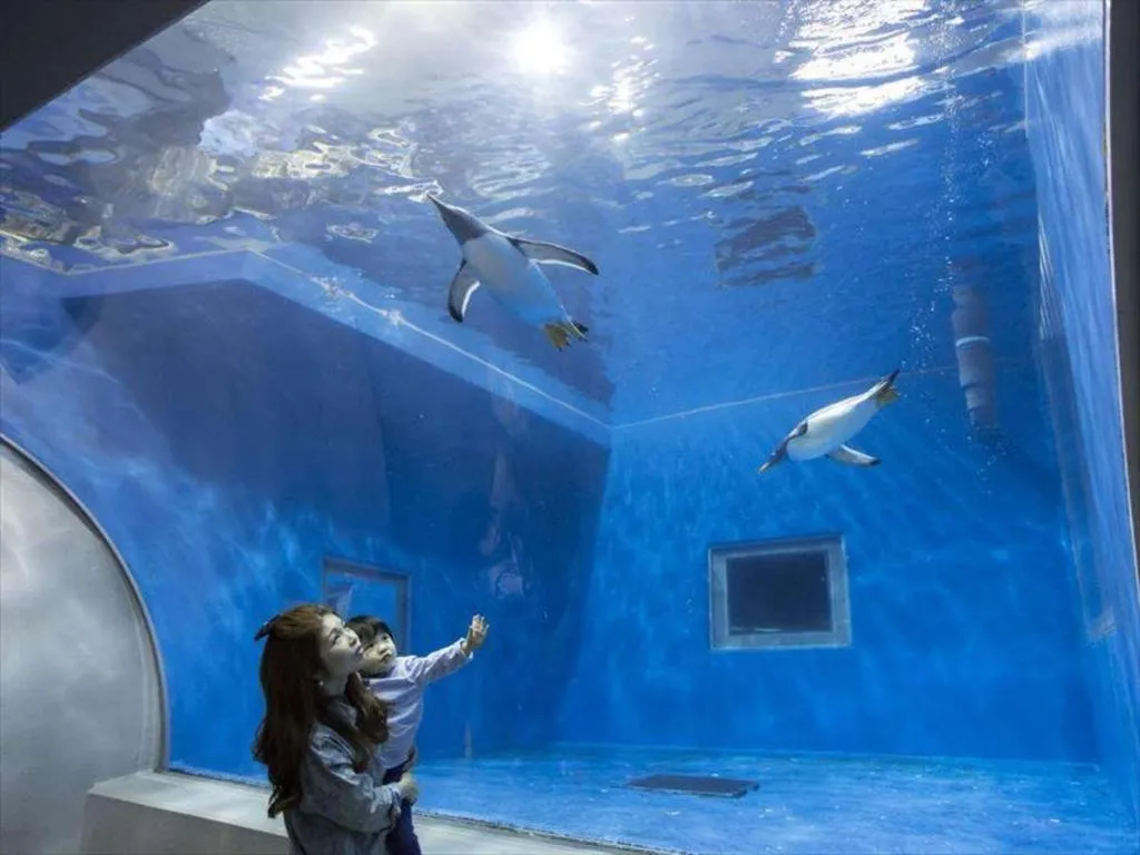 Mikuni Ocean Resort & Hotel