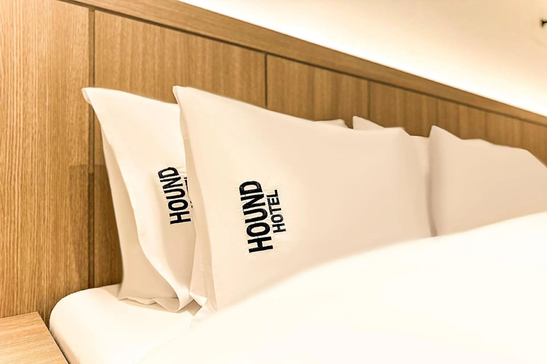 Bed in Hound Hotel Jeonju Deokjin