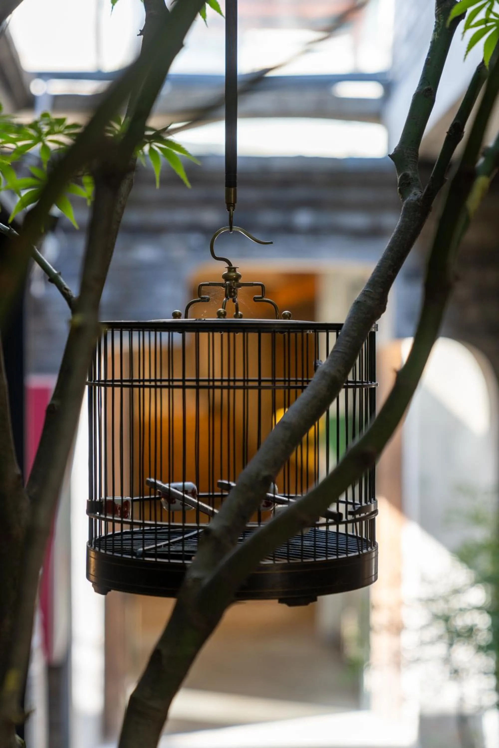 Beijing Le Zai Nan Luo Gu Xiang Wang Fu Jing Forbidden City Courtyard Hotel&Free laundry service&Free coffee &Paid Dumpling experience service