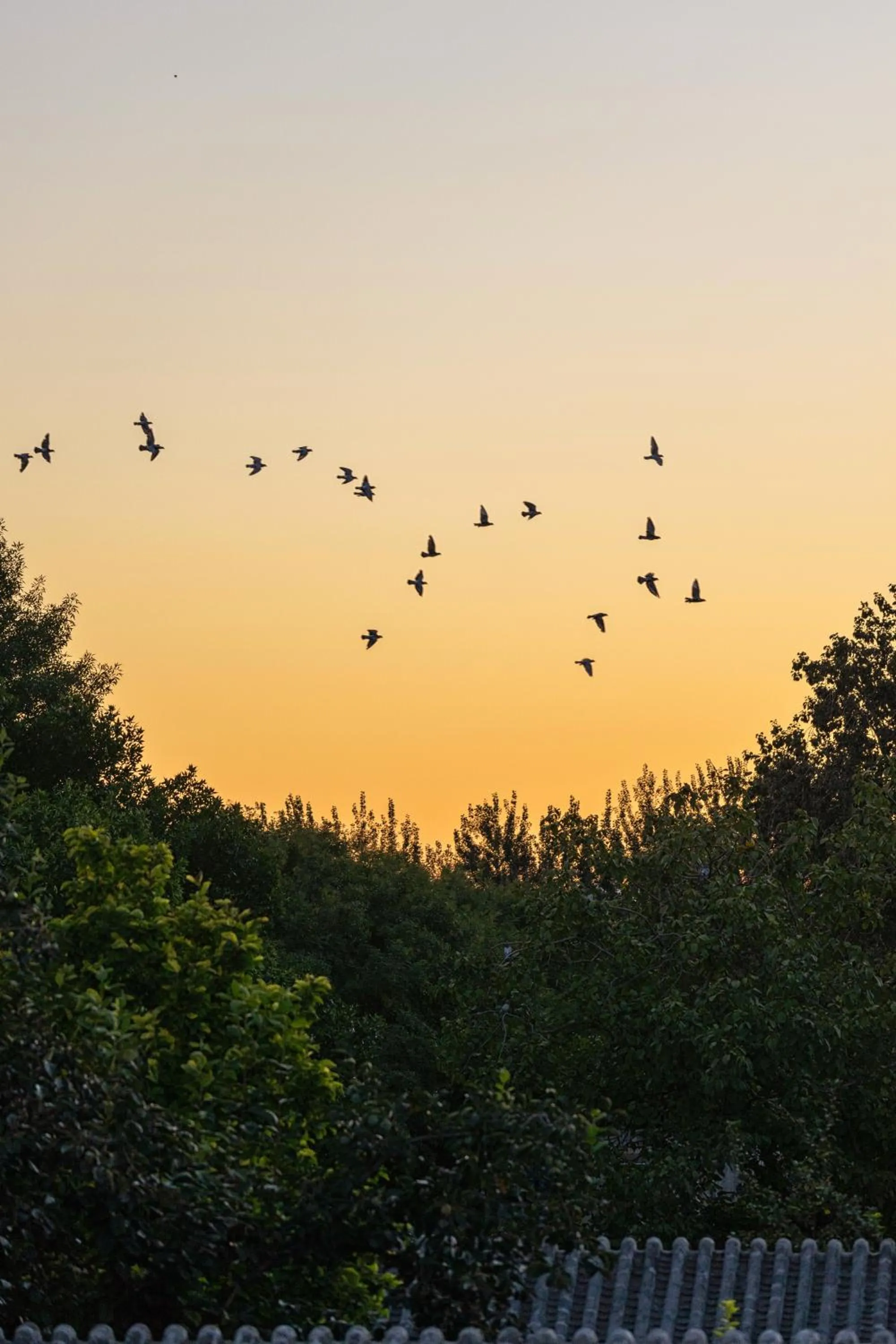 Beijing Le Zai Nan Luo Gu Xiang Wang Fu Jing Forbidden City Courtyard Hotel&Free laundry service&Free coffee &Paid Dumpling experience service