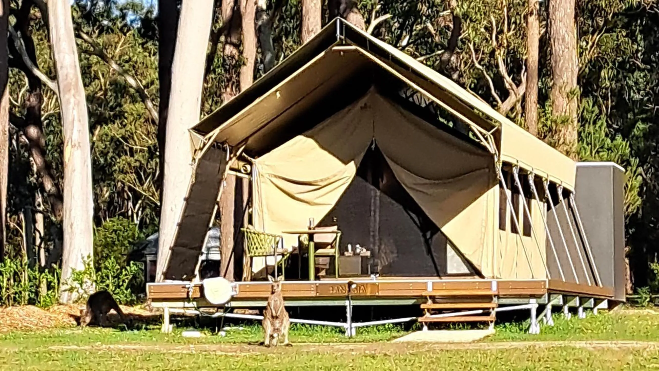 Natural landscape in Bay and Bush Jervis Bay - Nature Retreat