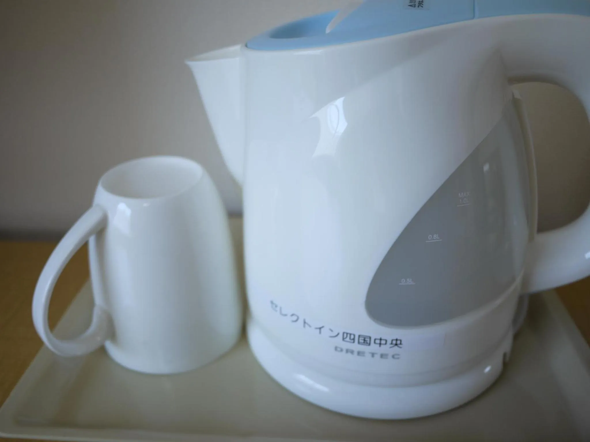 Decorative detail in Hotel Select Inn Shikoku Chuo