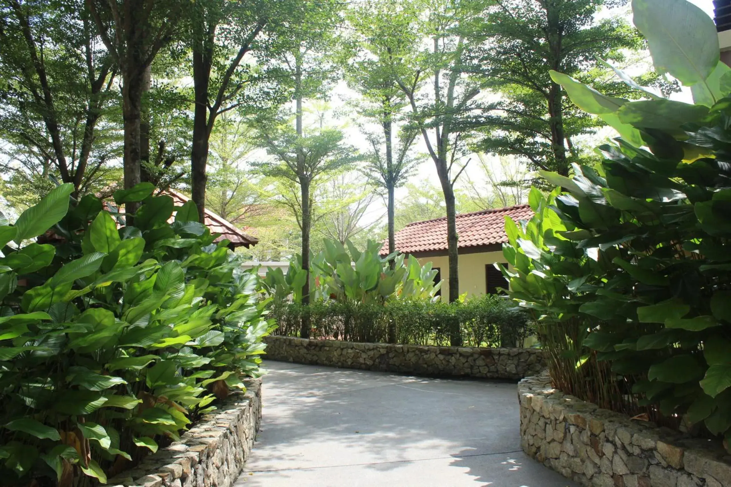 Garden, Property Building in Espira Kinrara