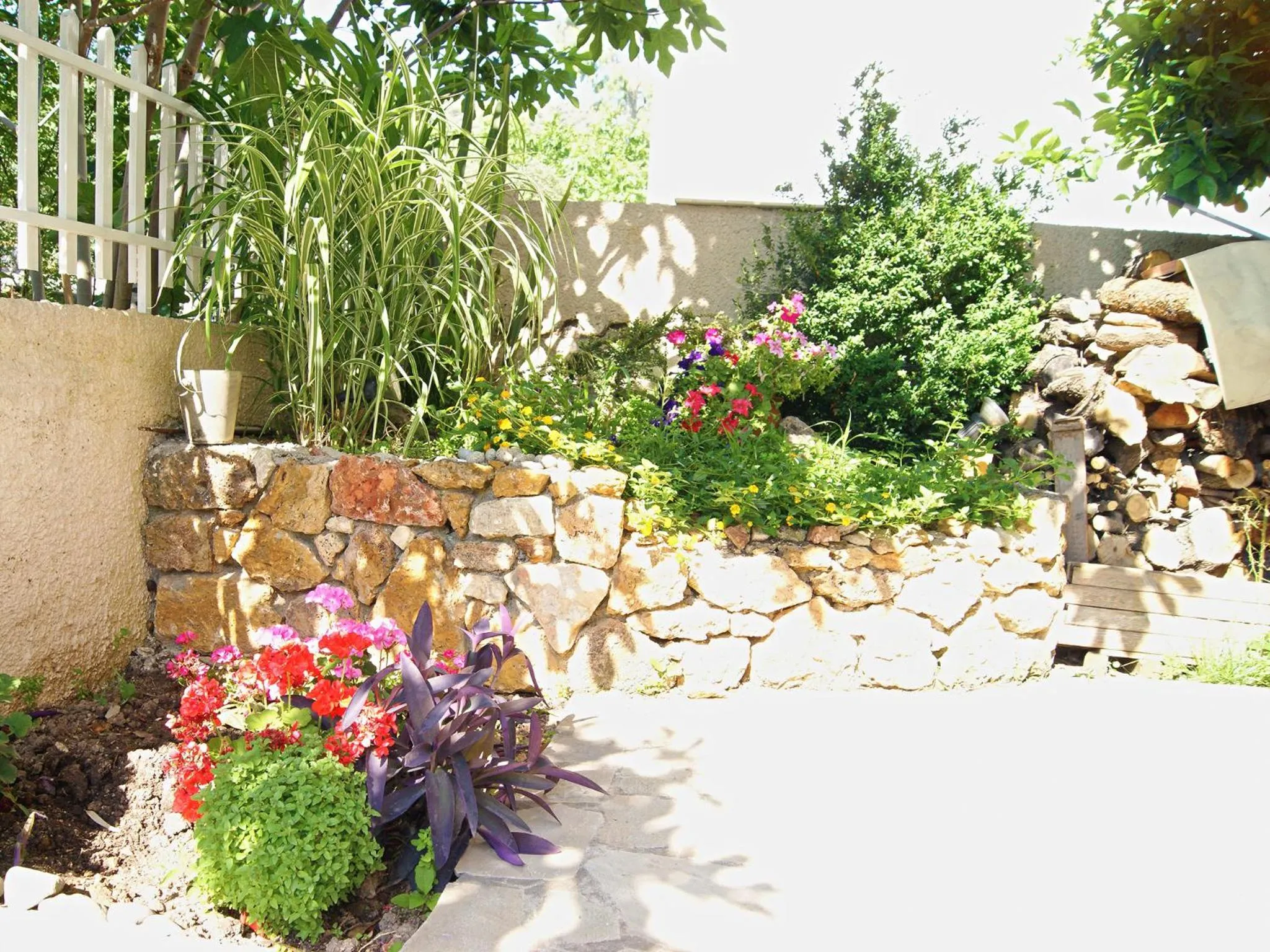 Garden view in Iliotropio Studios