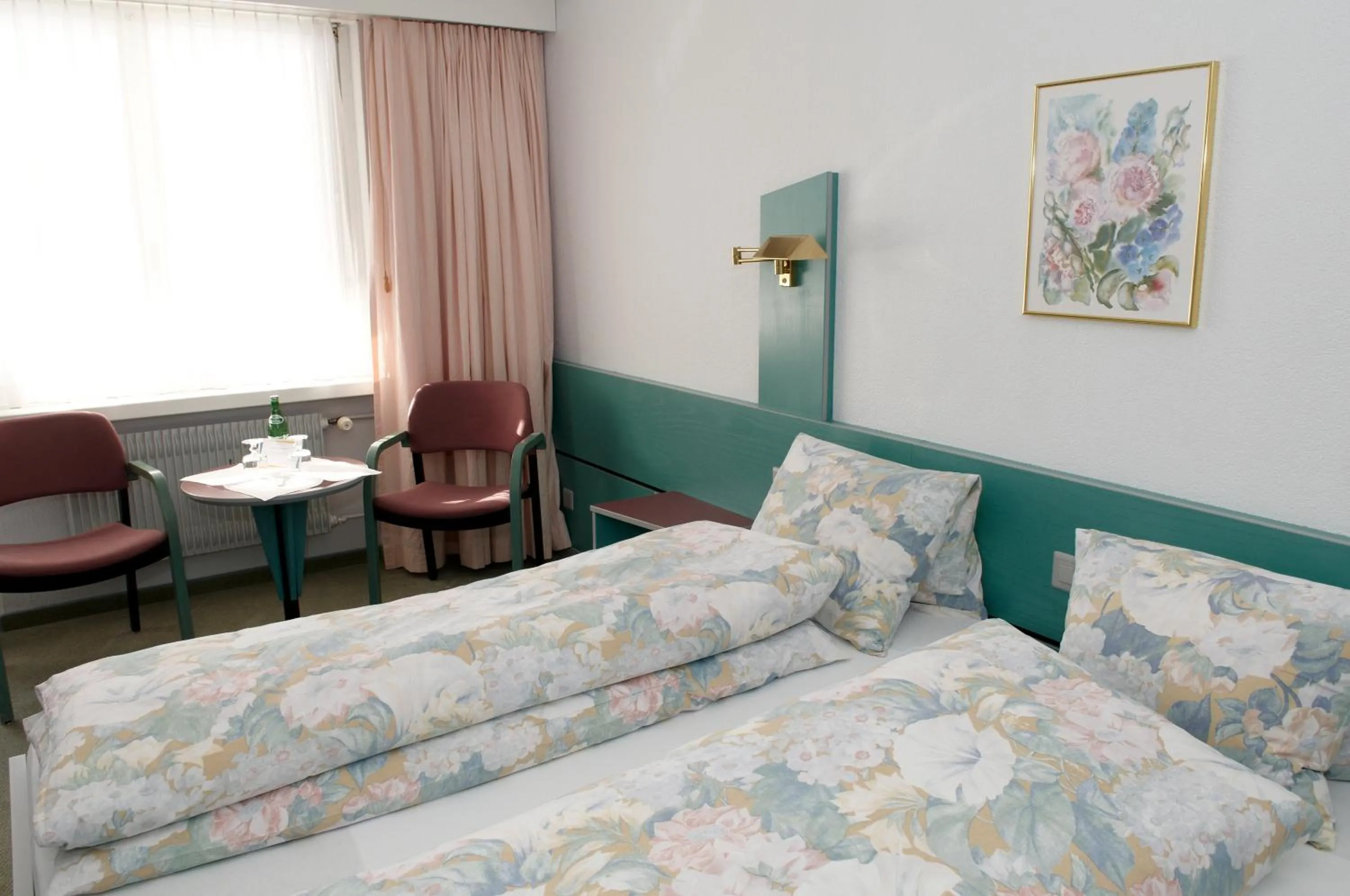 Double Room - single occupancy in Hotel-Restaurant Sternen
