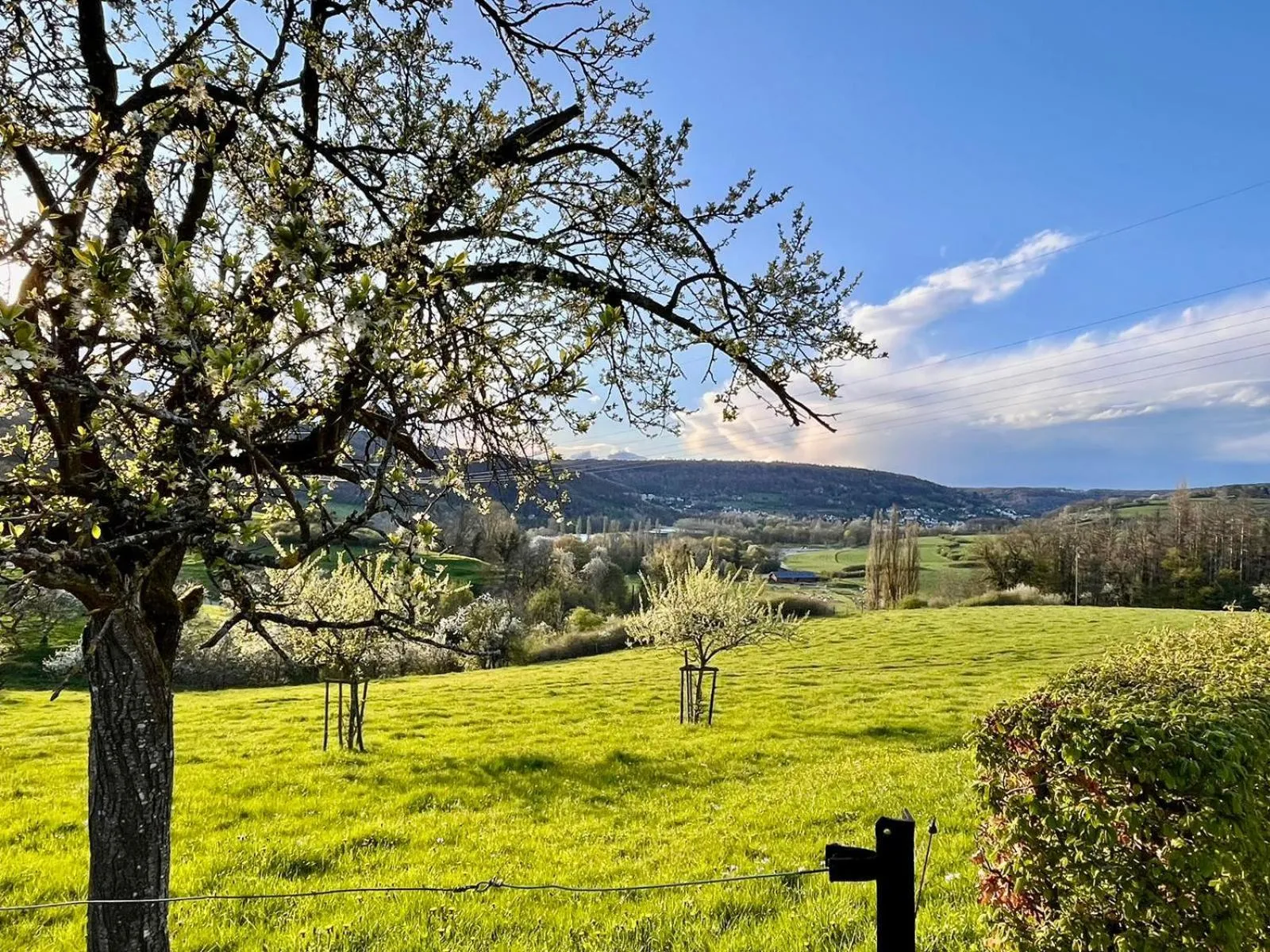 Spring in Roudenhaff Guestfarm