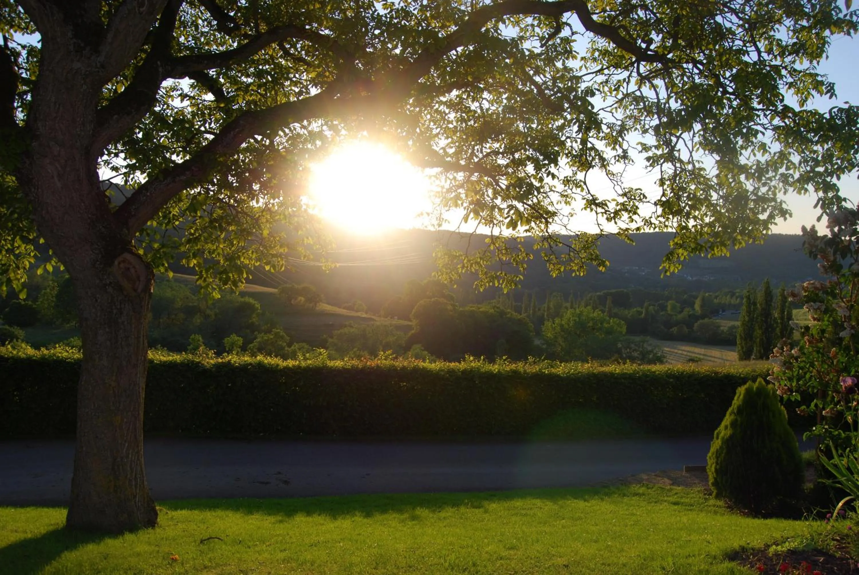 Summer in Roudenhaff Guestfarm