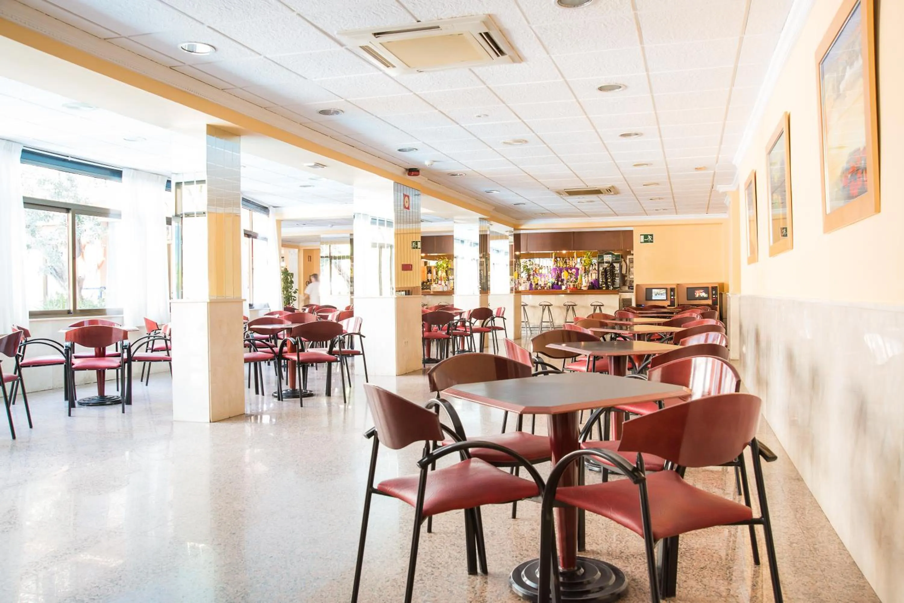 Lounge or bar in Hotel Camposol