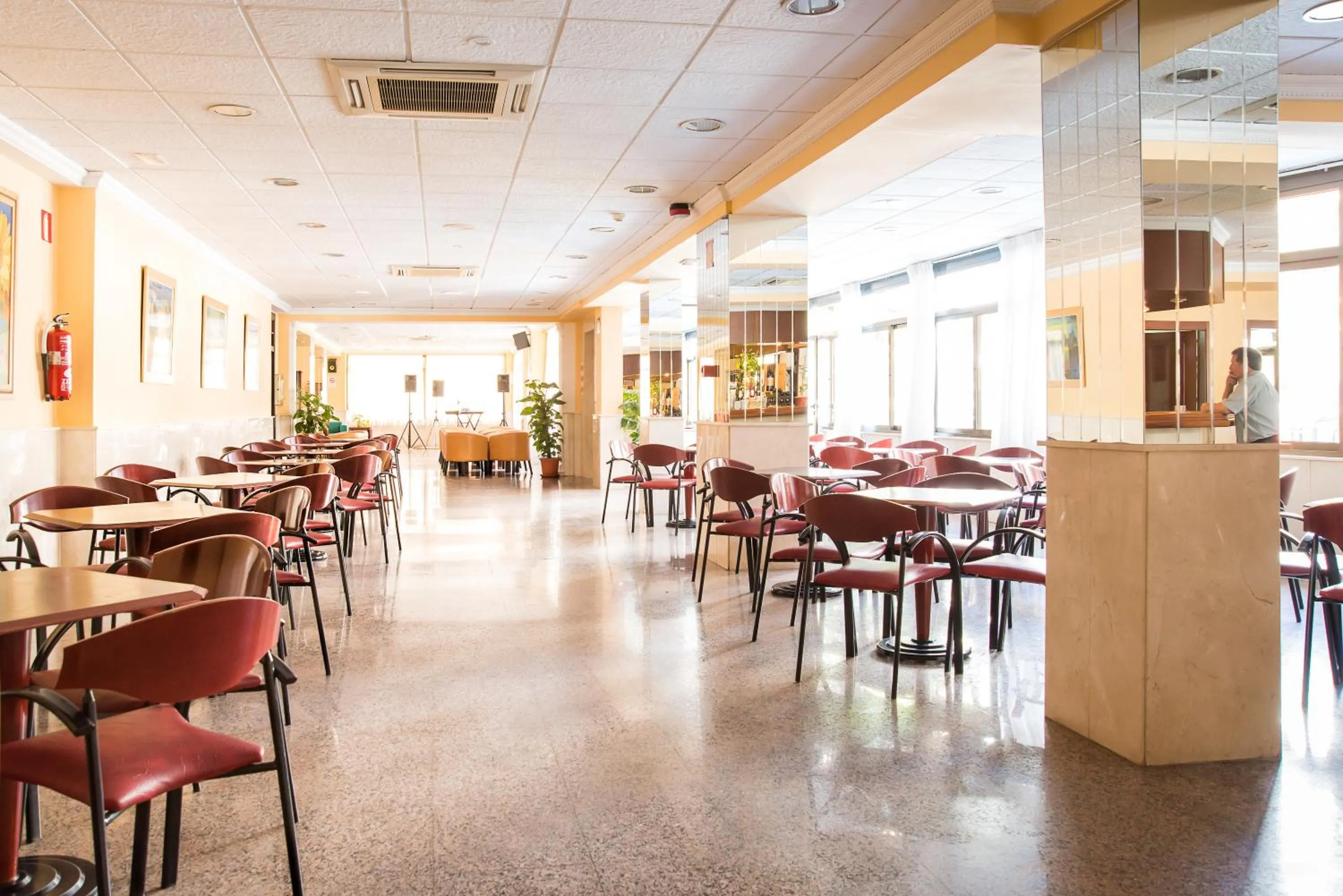 Lounge or bar in Hotel Camposol