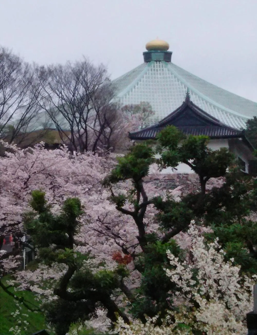 Nearby landmark in Sotetsu Fresa Inn Ochanomizu Jimbocho