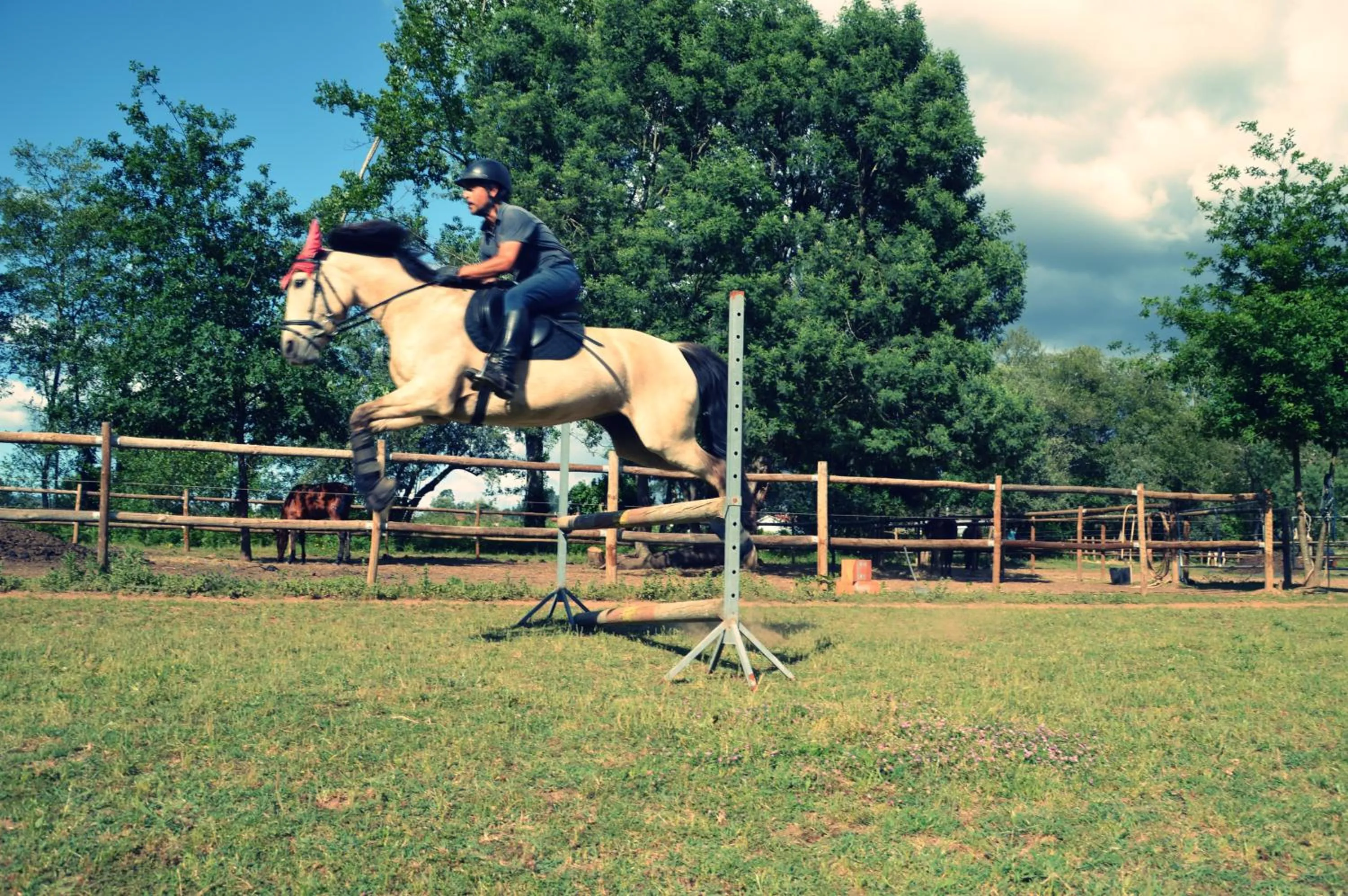 Horse-riding in Bed & Breakfast EQUITARE RURAL