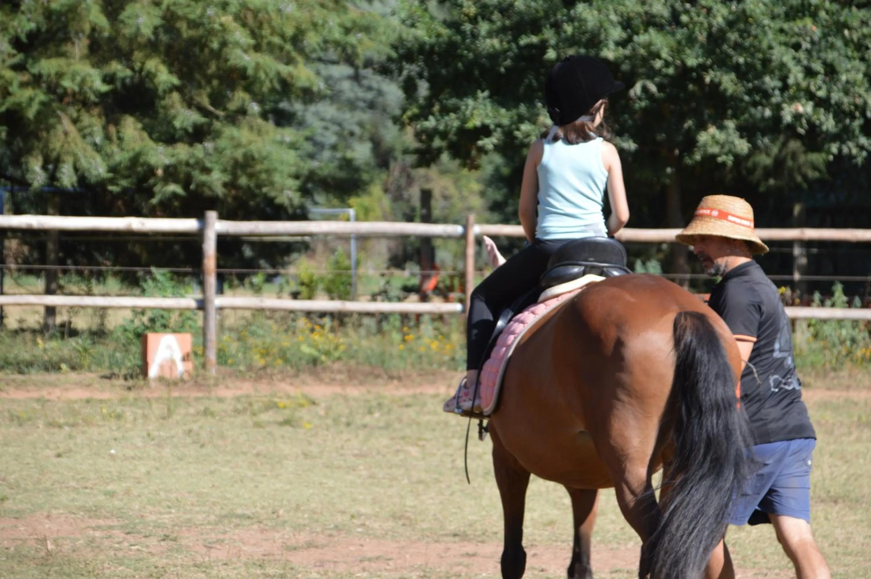 Horse-riding in Bed & Breakfast EQUITARE RURAL