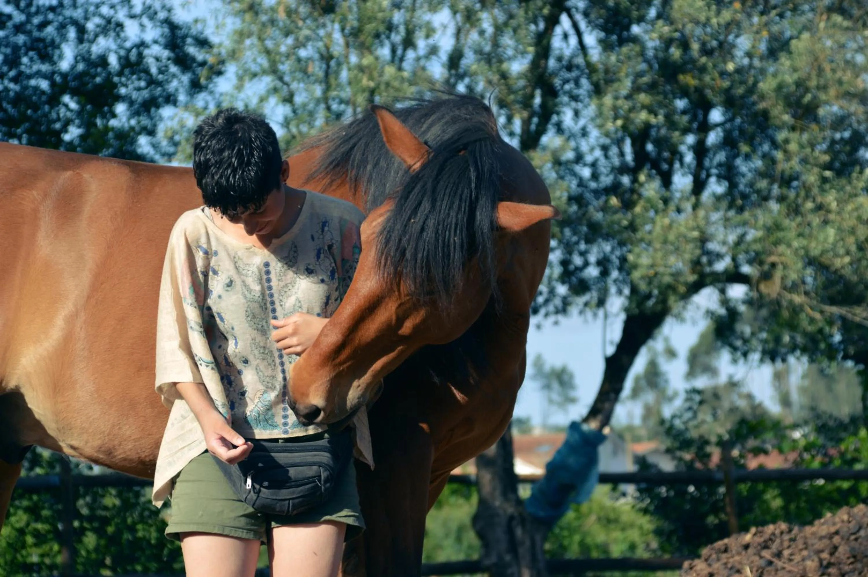 Horse-riding in Bed & Breakfast EQUITARE RURAL