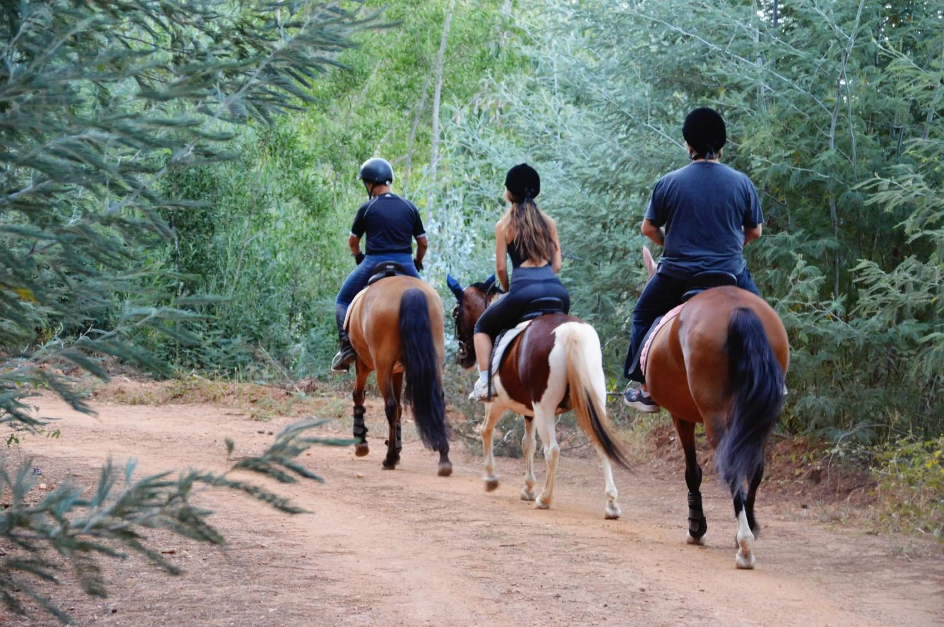 Horse-riding in Bed & Breakfast EQUITARE RURAL