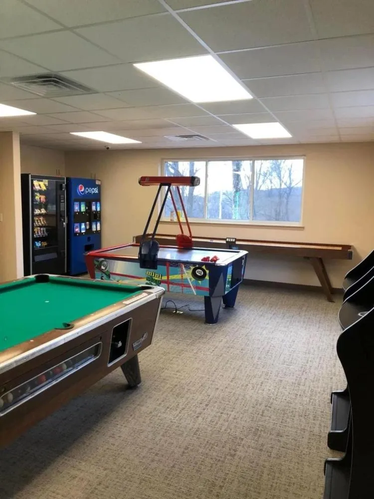 Game Room in Endless Mountain Resort
