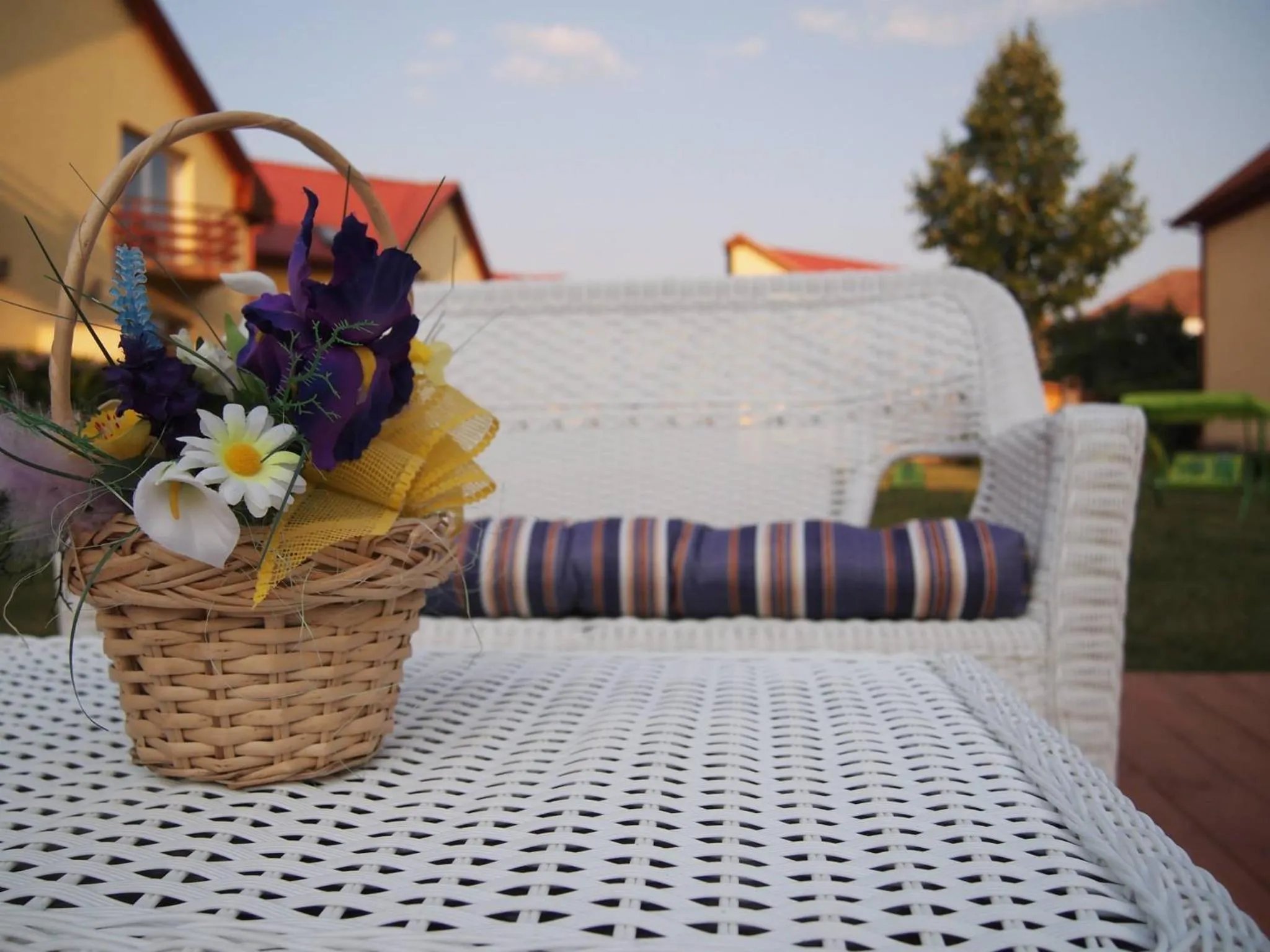 Garden in Casa Ardeleneasca