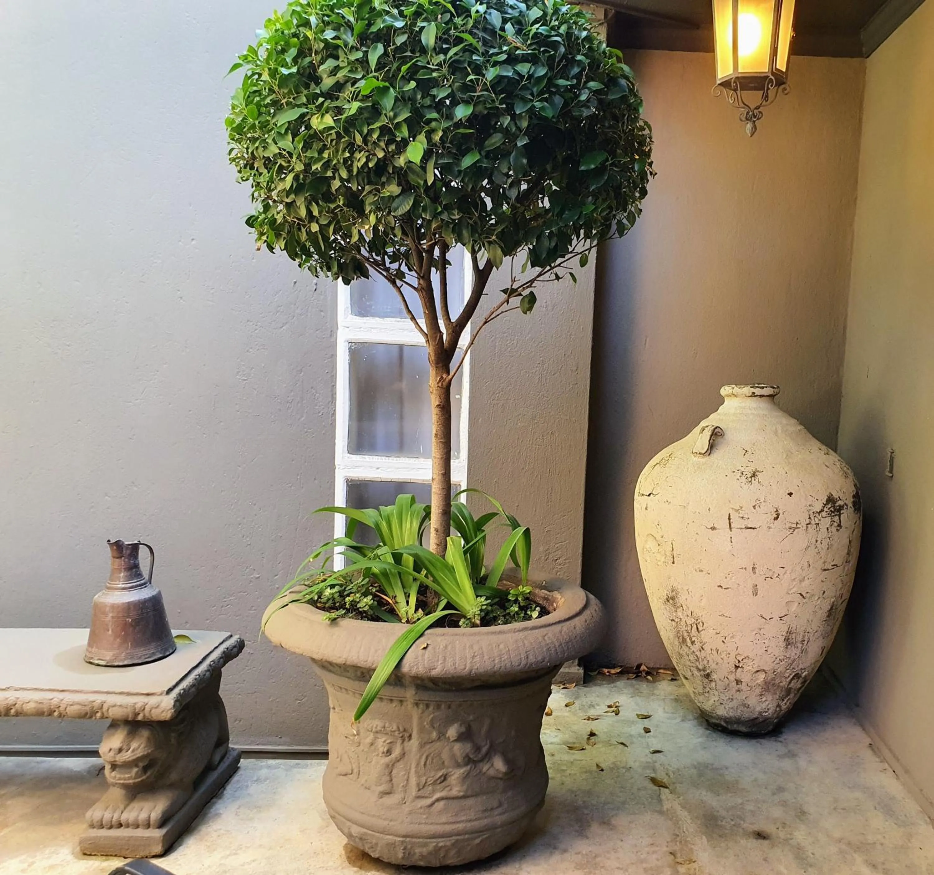 Waterhouse Guest Lodge - Indus Street