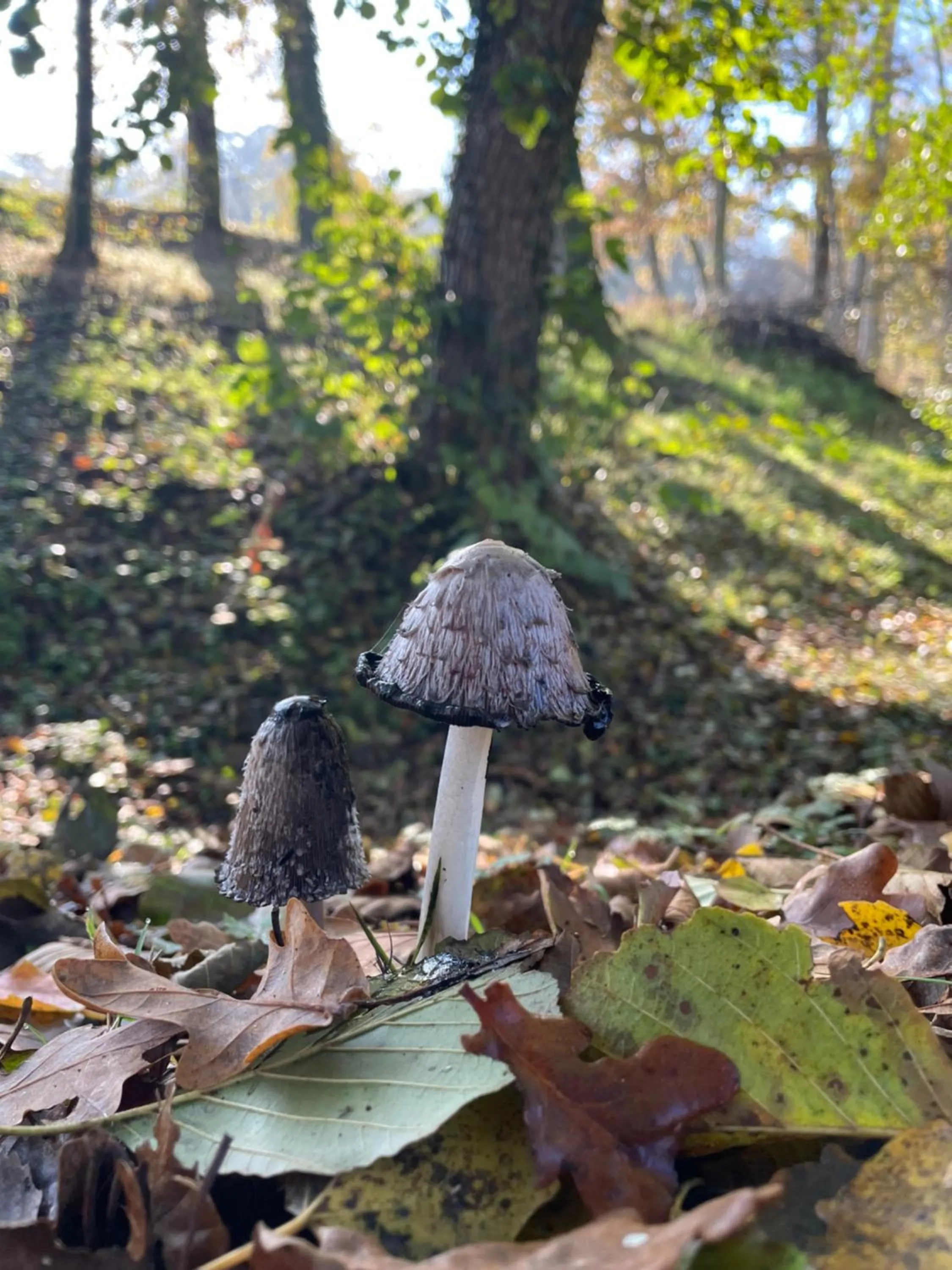 Natural landscape in Hotel Moulin de Villiers